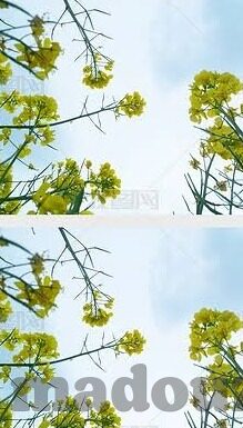 最近中文字幕无吗高清-探索高清影视新境界，最近中文字幕的魅力